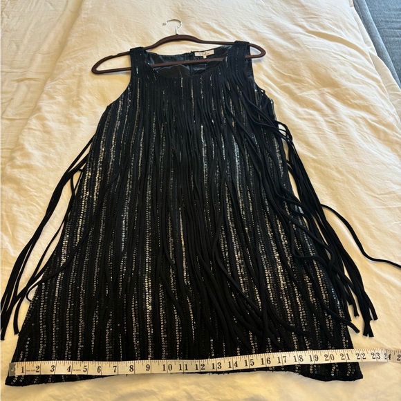 Parker 100% Silk and Sequin Party Dress - Picture 5 of 6